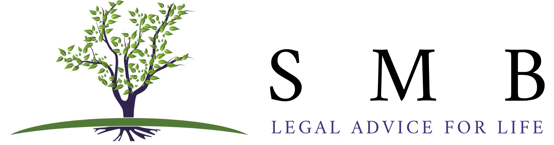 Law Offices of Steven M. Basche
