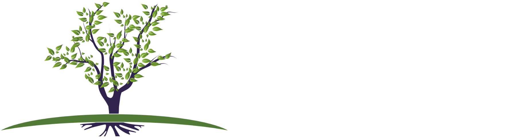 Law Offices of Steven M. Basche